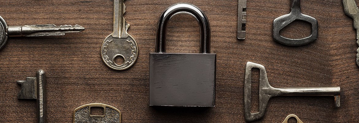 Lock it before you lose it with Microsoft Dynamics GP