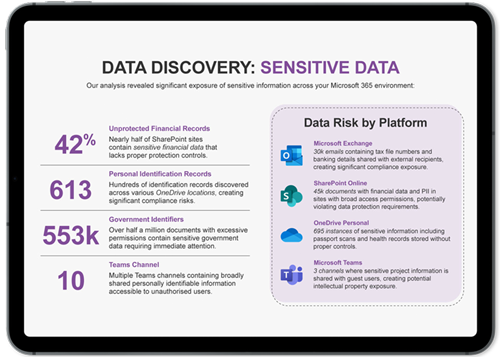 Data Discovery Sample Report