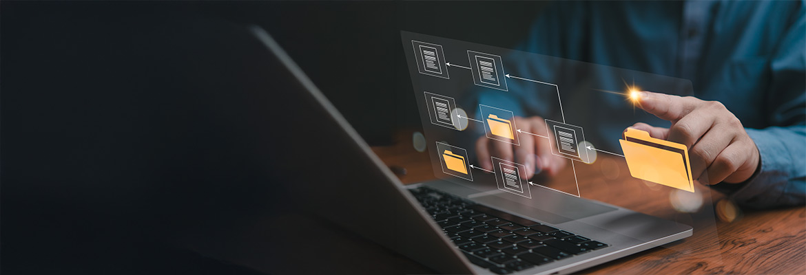 Publishing and sharing Power BI reports: What are your options? 
